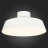 Потолочный светильник Vigo SLE600252-01 Evoluce LED 3000K Современный